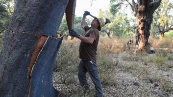 El "efecto empuje" de la subida del SMI: ¿qué pasa con los salarios de entre 1.001 y 1.079 euros?