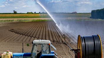España se la devuelve a Francia con uno de los alimentos más comunes