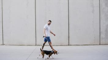 Un estudio descubre el peligro oculto para adultos y niños de pasear a los perros con correa
