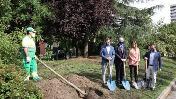 Almeida o el silencio de las motosierras