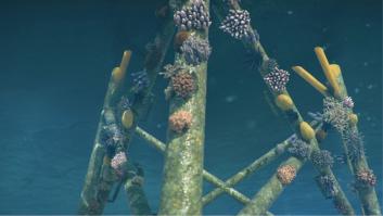 Molinos de viento en alta mar: más allá de la generación de energía eólica offshore