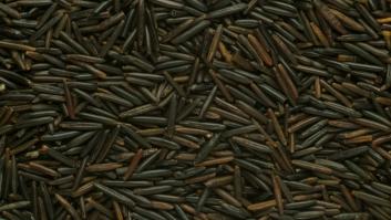 El tipo de arroz que combate el colesterol, fortalece tus músculos y enriquece tu dieta