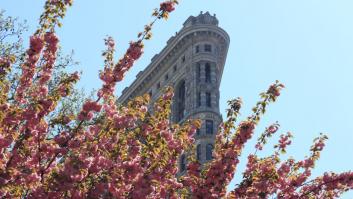 Sale a subasta el icónico edificio de Nueva York en el que trabajaba Spiderman