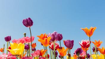 ¿A qué hora empieza la primavera?