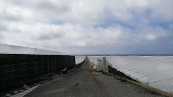 El innovador plan para convertir el mar de plástico de Almería en un mega huerto solar