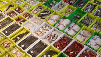 Un nuevo estudio pone en el punto de mira 53 pescados y mariscos de alto consumo