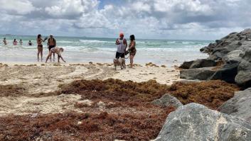 Alerta máxima marítima por el avance del cinturón de sargazo