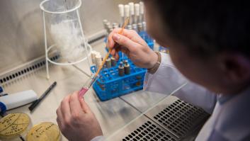 La OMS alerta seriamente de 'Candida auris': un virus que suele matar en 90 días