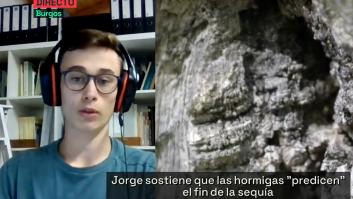 La AEMET explota contra las predicciones de Jorge Rey y sus hormigas
