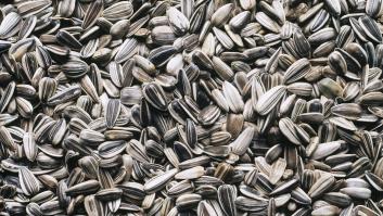 Lo que se ha encontrado este usuario de TikTok en una bolsa de 'pipas Tijuana' es tremendo