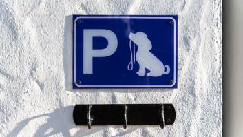 Si atas a tu perro en la puerta de un establecimiento te expones a esta multa