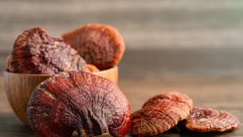 Esta es el 'hongo de la inmortalidad' que reduce el estrés y alarga la vida