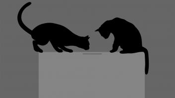 La captura electoral