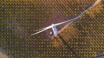 La sequía deja en situación crítica al fruto seco más consumido en España
