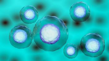 Investigan el misterioso caso de la sopa azul en la nevera