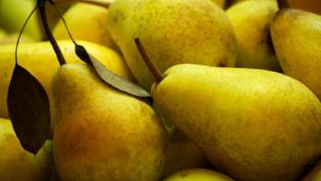 Un hongo deja al borde de la extinción a una pera española