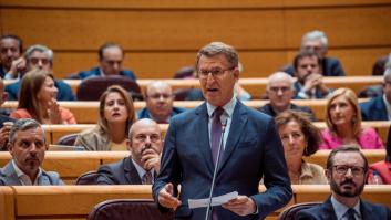 Siete ejemplos de cómo el PP y Bildu unieron sus votos en los últimos tres meses