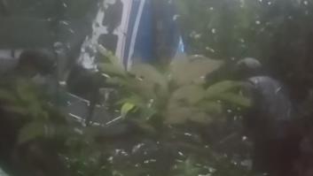 El milagro de 4 niños en Colombia: sobreviven 17 días en la selva tras un accidente de avioneta