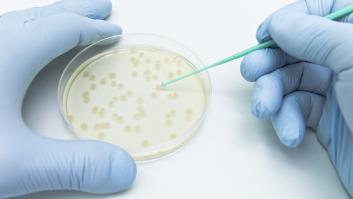 Un antibiótico del pasado siglo puede ser el arma letal contra la superbacterias