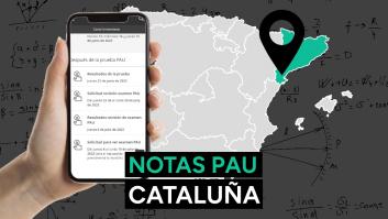 Notas PAU Cataluña 2025: resultado de los exámenes