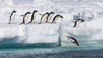 Hallan nicotina y antidepresivos entre los contaminantes del agua de la Antártida