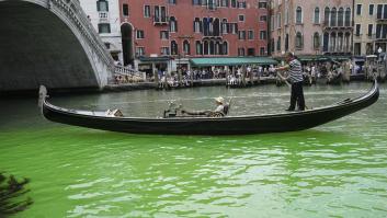 Los canales de Venecia se tiñen misteriosamente de verde