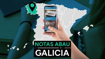 Notas ABAU Galicia 2024: resultado de los exámenes