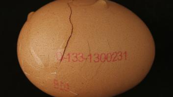 Relacionan la cáscara de huevo con una increíble fuente nutricional