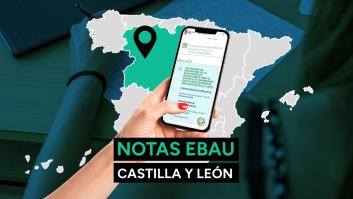 Notas EBAU Castilla y León 2024: resultado de los exámenes