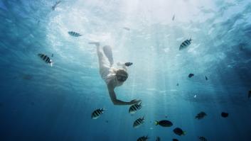 ¿Por qué se celebra el Día Mundial de los Océanos el 8 de junio?