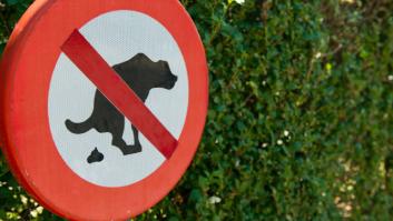 Esta es la ciudad con más excrementos según la OCU