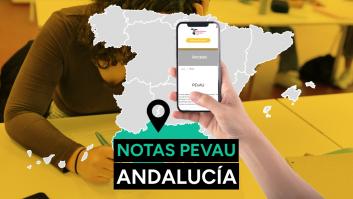 Notas selectividad Andalucía 2023: resultado de los exámenes de la PEvAU
