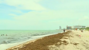 La masa de bacterias 'comercarne' más grande la historia se ve desde el espacio