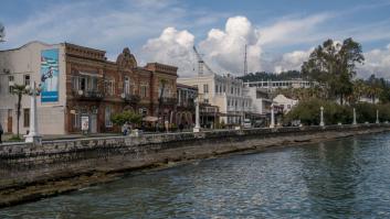 La colección de un ex primer ministro de Georgia: decenas de árboles transportados en barco