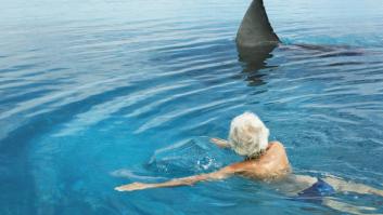 Estas son las playas españolas que se han convertido en un santuario para los tiburones