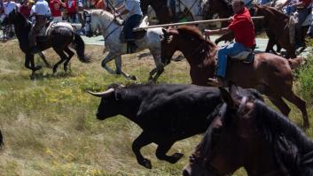 Fiestas de San Juan 2024 en Soria: ¿cuál el origen del Jueves La Saca?