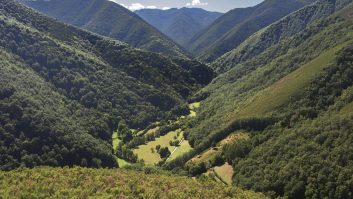 Este es el mayor robledal de España y merece visitarlo al menos una vez en la vida