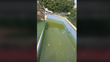Compra en Mercadona productos para la piscina, los echa sin saber... y lo que ocurre se veía venir