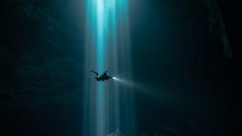 Este es el animal más grande del mundo: ningún dinosaurio lo superó en tamaño