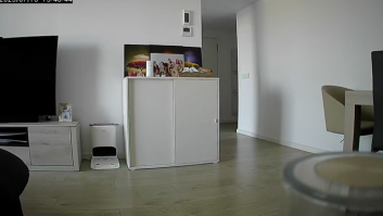 Salta la alarma de su casa y lo que ve a través de las cámaras es mucho mejor que un ladrón