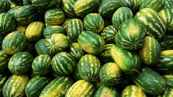 Alerta en España por la entrada de sandías procedentes de Marruecos: contienen un pesticida no autorizado