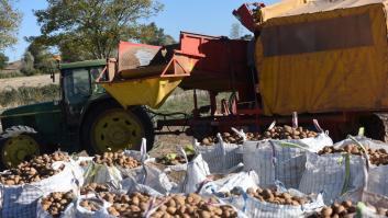 Las cuentas no salen con el precio de las patatas