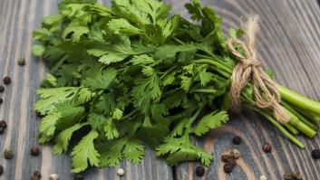 Esta planta tiene hasta 15 veces más vitaminas que la naranja según el nutricionista Pablo Ojeda