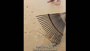 Avalancha de mini medusas agresivas en el norte de España