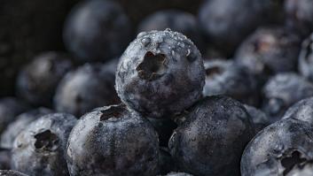 Un agricultor deja pudrir 10 toneladas de arándanos