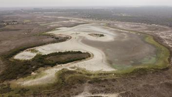 La mayor laguna de Doñana vuelve a secarse por tercer año consecutivo
