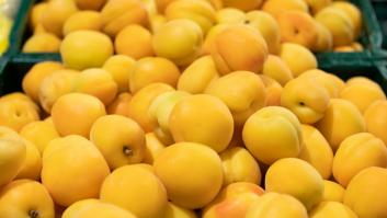 Tres países se desenchufan del albaricoque español