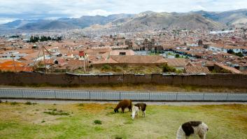 Si te apellidas Vigo, es probable que tengas raíces peruanas