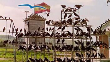 España real (y diversa) ante la investidura y presidencia europea: reto de PSOE... y (PP)