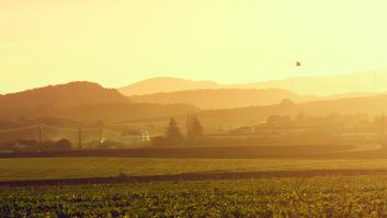 Los apellidos 'alaveses' están condenados a extinguirse en Álava